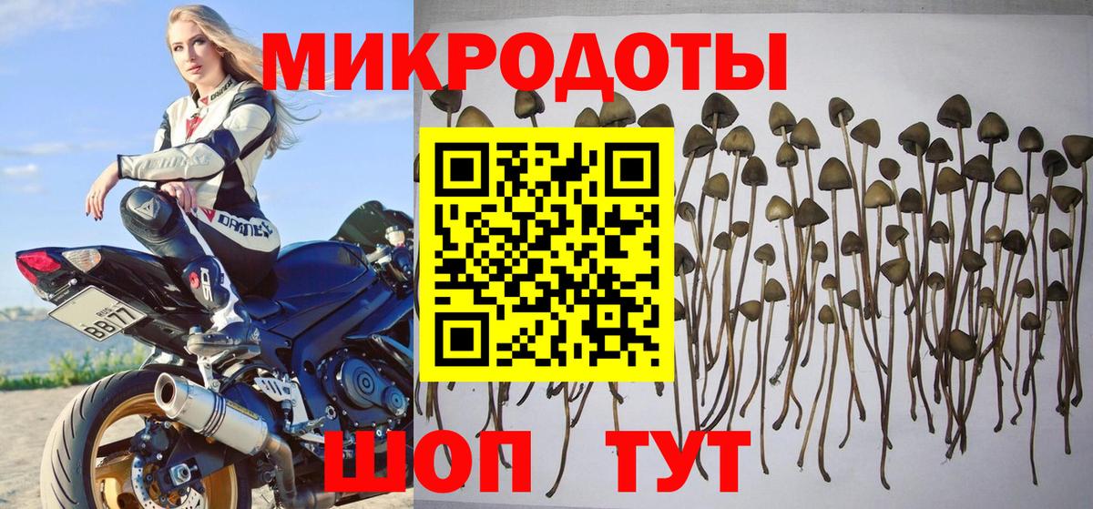 Псилоцибиновые грибы Psilocybine cubensis  Псилоцибиновые грибы прущие грибы  купить наркотик  Майский  Вход с VPN 
